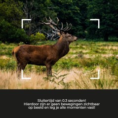 Denver WCL-8040MK2 4G 8MP Wildlife Camera - Capture Stunning Moments with Unmatched Clarity!